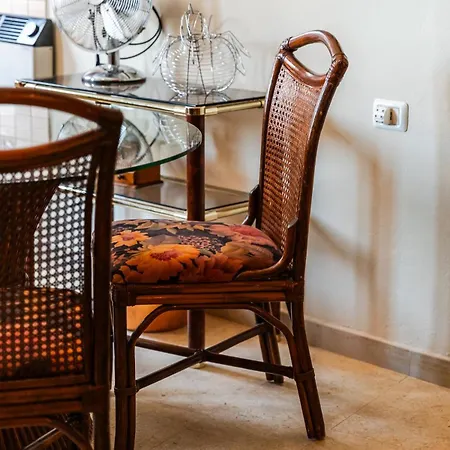 Charming 1br In Center Shkoder